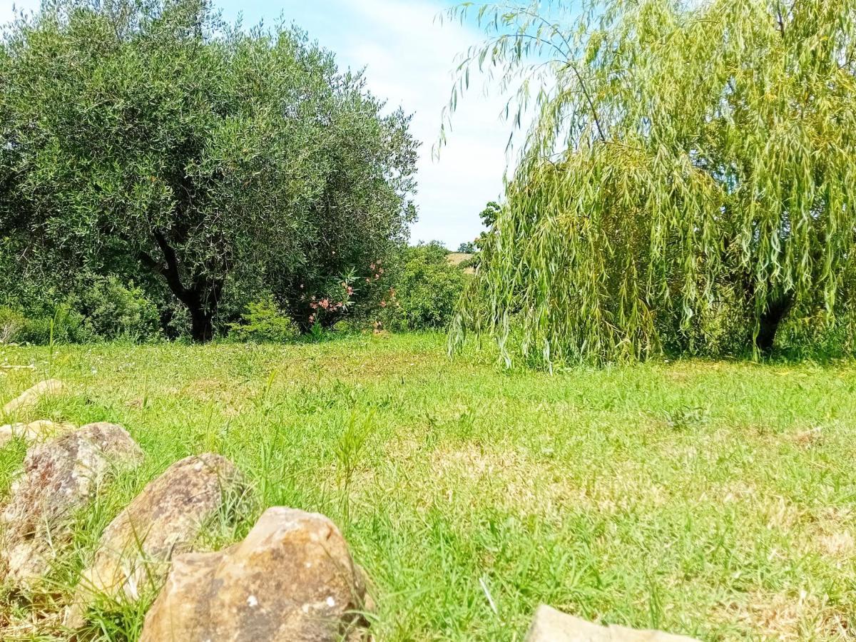 Borgo De' Muracci Ribolla Ngoại thất bức ảnh