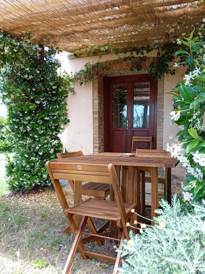 Borgo De' Muracci Ribolla Ngoại thất bức ảnh