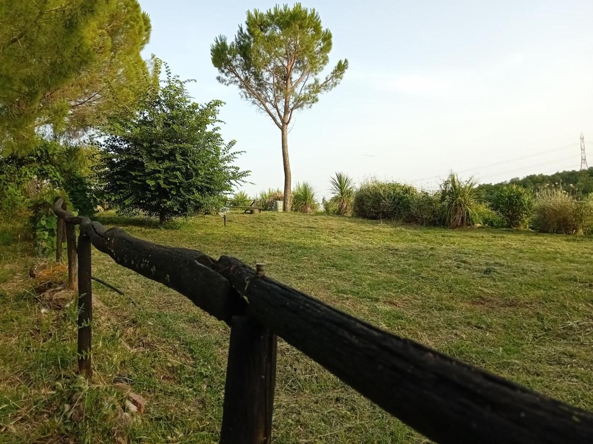 Borgo De' Muracci Ribolla Ngoại thất bức ảnh