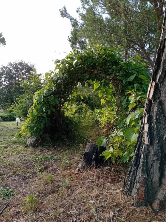 Borgo De' Muracci Ribolla Ngoại thất bức ảnh