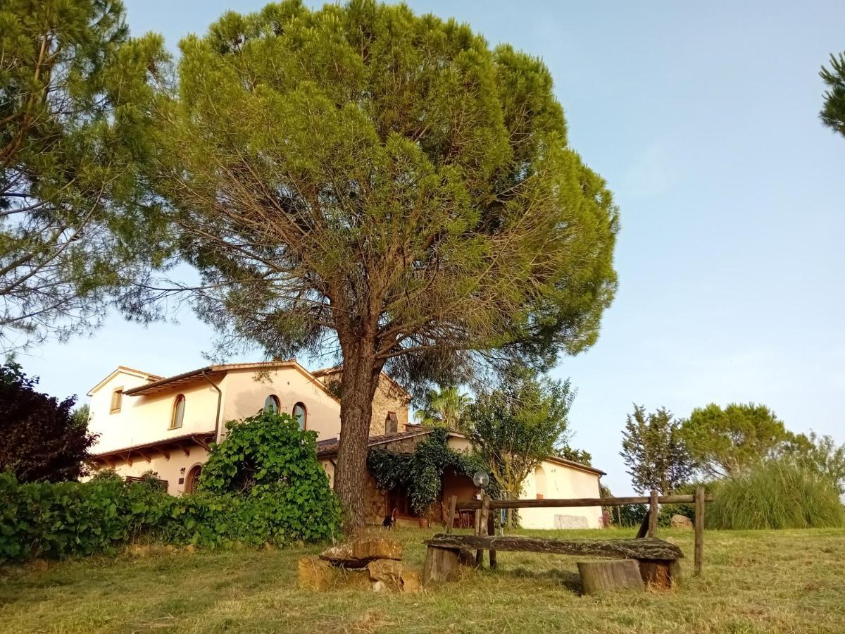 Borgo De' Muracci Ribolla Ngoại thất bức ảnh