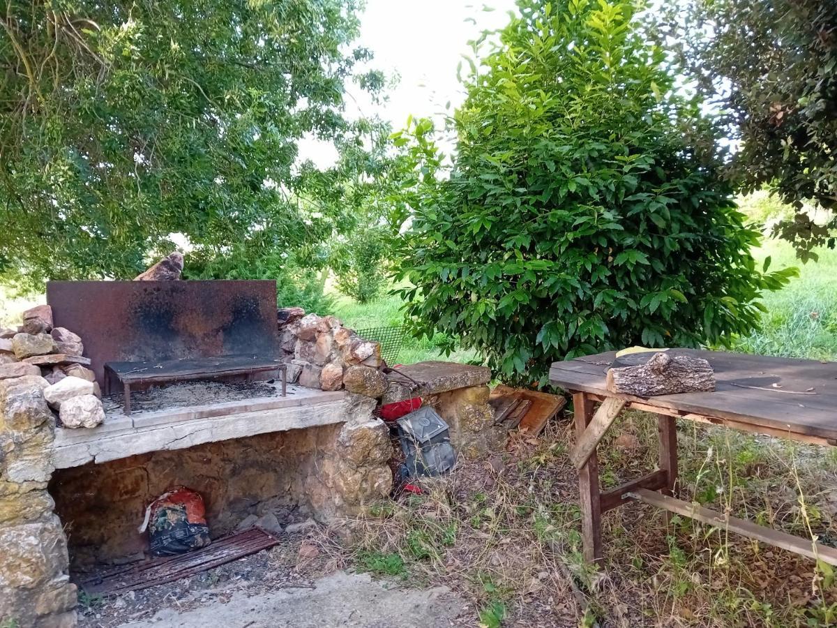 Borgo De' Muracci Ribolla Ngoại thất bức ảnh