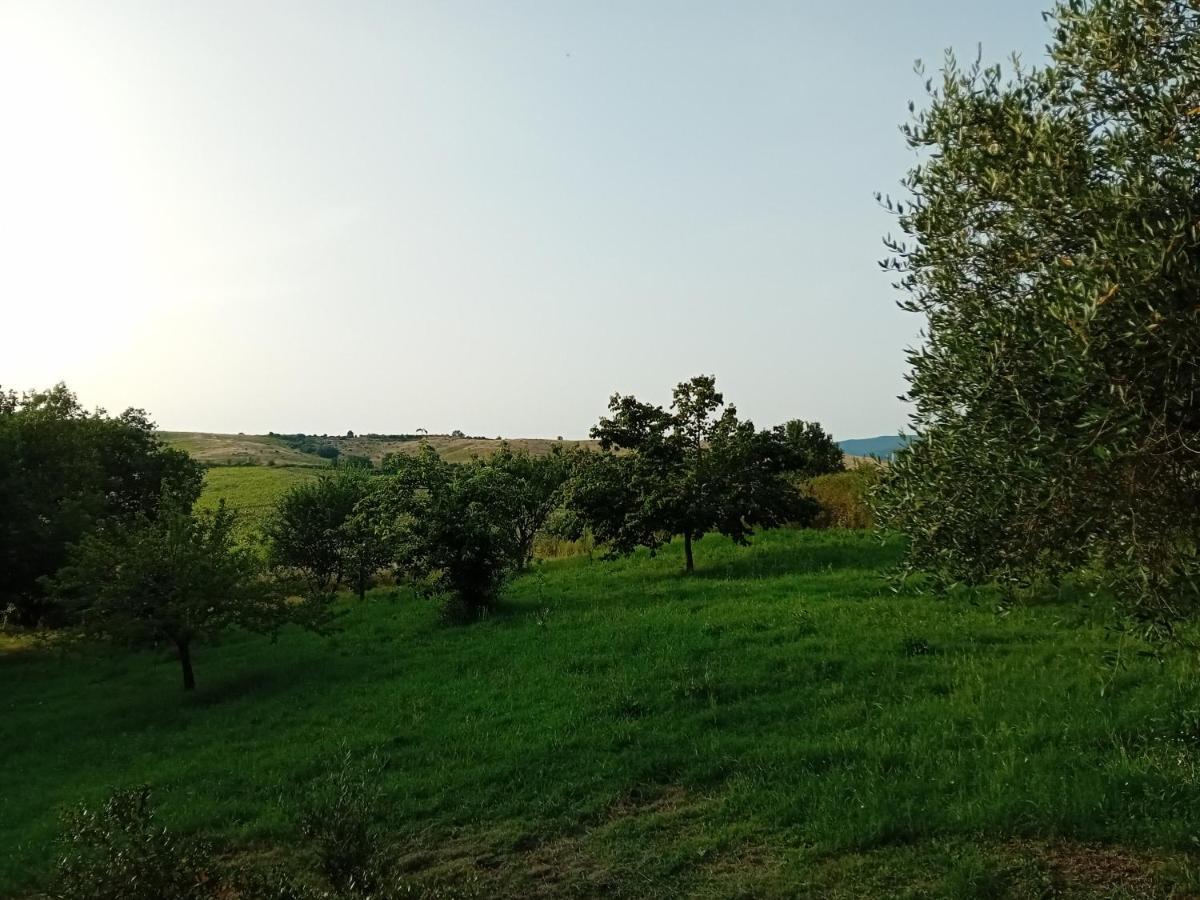 Borgo De' Muracci Ribolla Ngoại thất bức ảnh